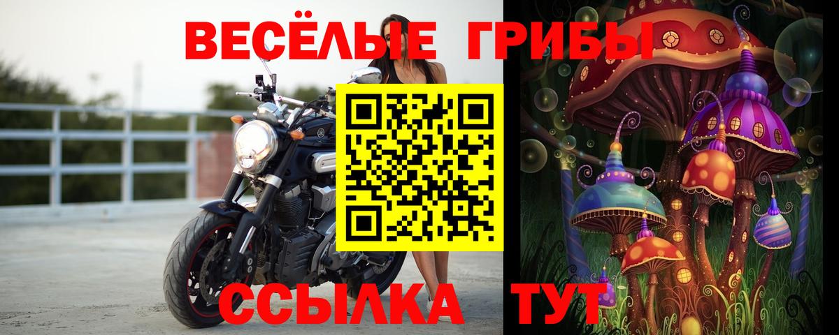 Галлюциногенные грибы Magic Shrooms Чапаевск