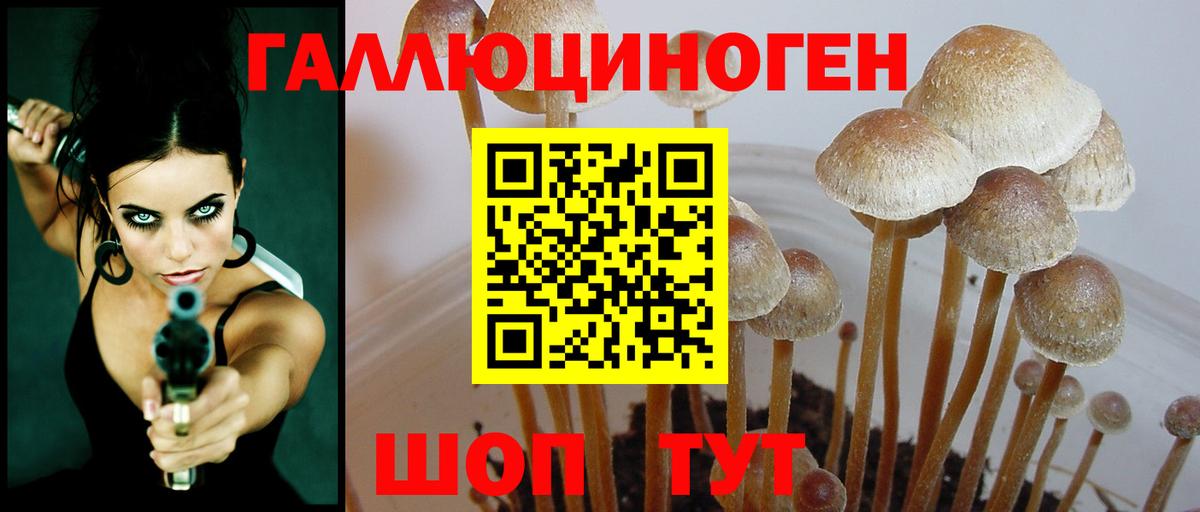 Галлюциногенные грибы GOLDEN TEACHER  Псилоцибиновые грибы мухоморы  Чапаевск  Вход с VPN 
